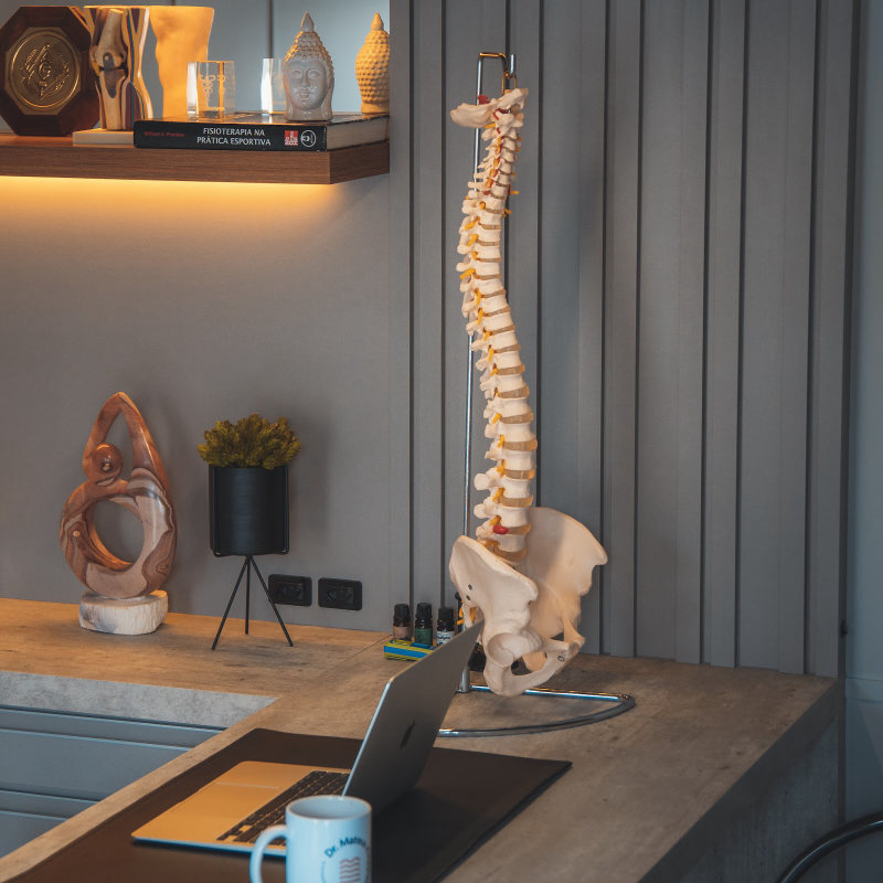 Mesa do consultório com um modelo de coluna vertebral